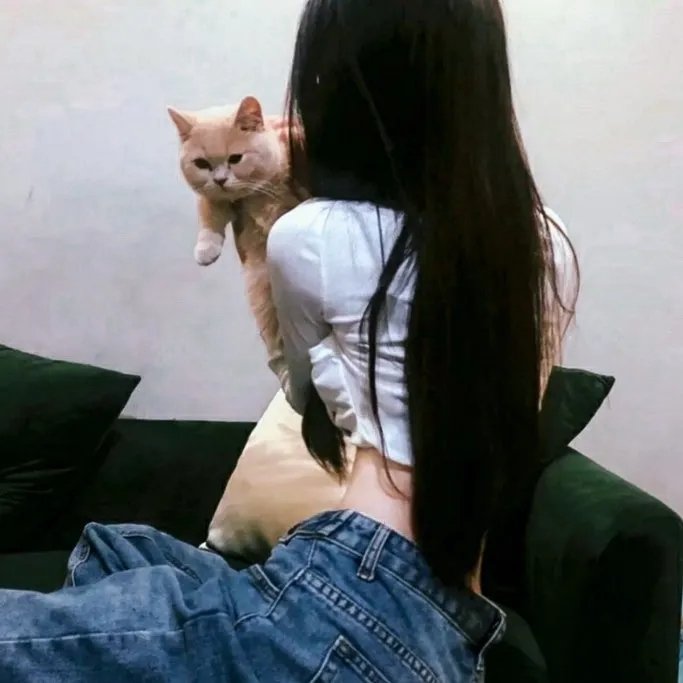 爱妹赌局
